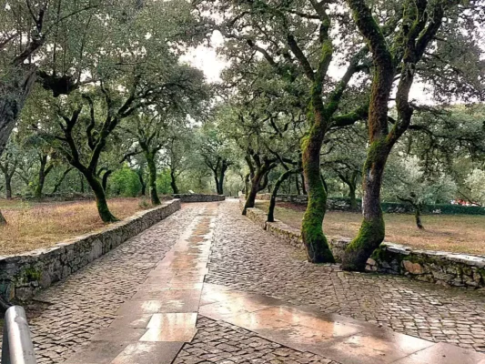 Fatima, Via Crucis del santuario, calvario Ungherese, Pellegrinaggio Tu Sei Pietro Viaggi